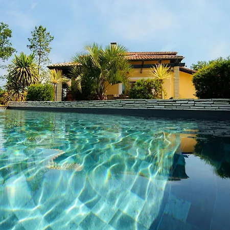 Villa Avec Piscine En Born 13 Personnes Parentis-en-Born